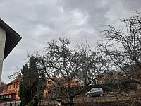 Olešná