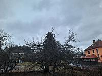 Olešná