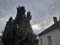 Olešná