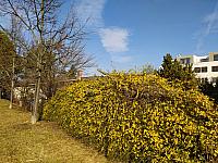 Olomouc-Neředín