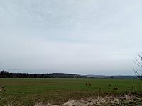Lukovany