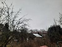 Olešná
