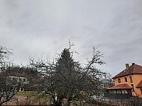 Olešná