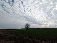 Lukovany