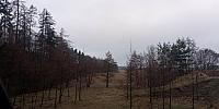 Lukovany