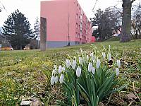 Třebíč-Borovina