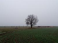 Lukovany