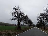 Lukovany