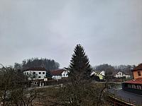 Olešná