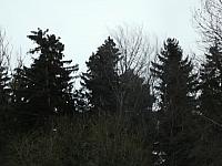 Němčice Zhoř