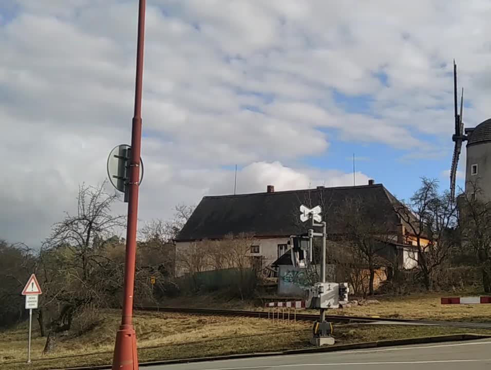 Borovina