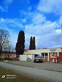 Nižná