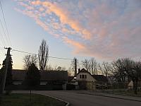Třibřichy