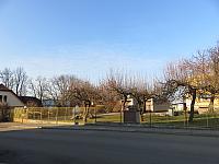 Třibřichy