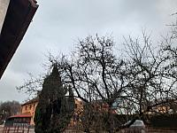 Olešná