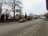 Třibřichy