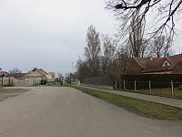 Třibřichy