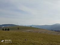 Nižná