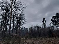 Fotografie