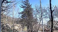 Hvozdnica
