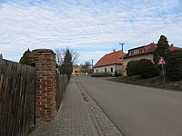 Třibřichy
