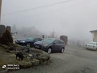 Nižná