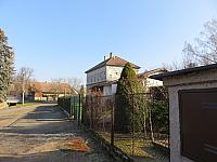 Třibřichy