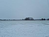 Odrovice