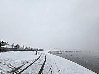 Most jezero 