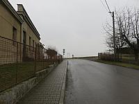 Třibřichy