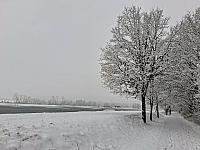 Chomutov