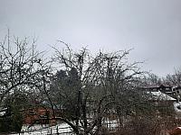 Olešná