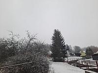 Olešná