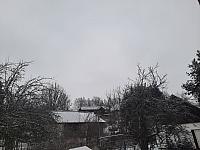 Olešná