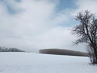 Lukovany