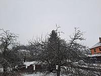 Olešná