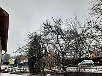 Olešná