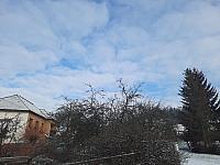 Olešná