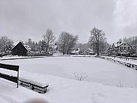 Rynoltice