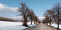 Lukovany