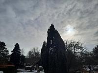 Olešná