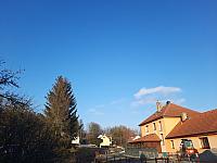 Olešná