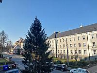 Český Těšín