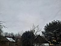 Olešná