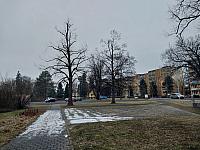 Český Těšín