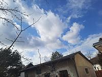 Olešná