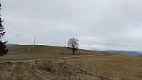 Nižná