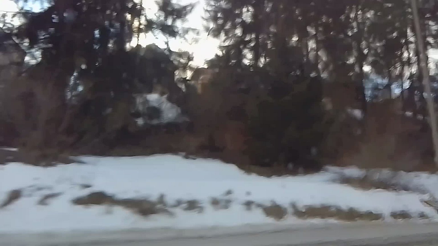 Oravská Lesná