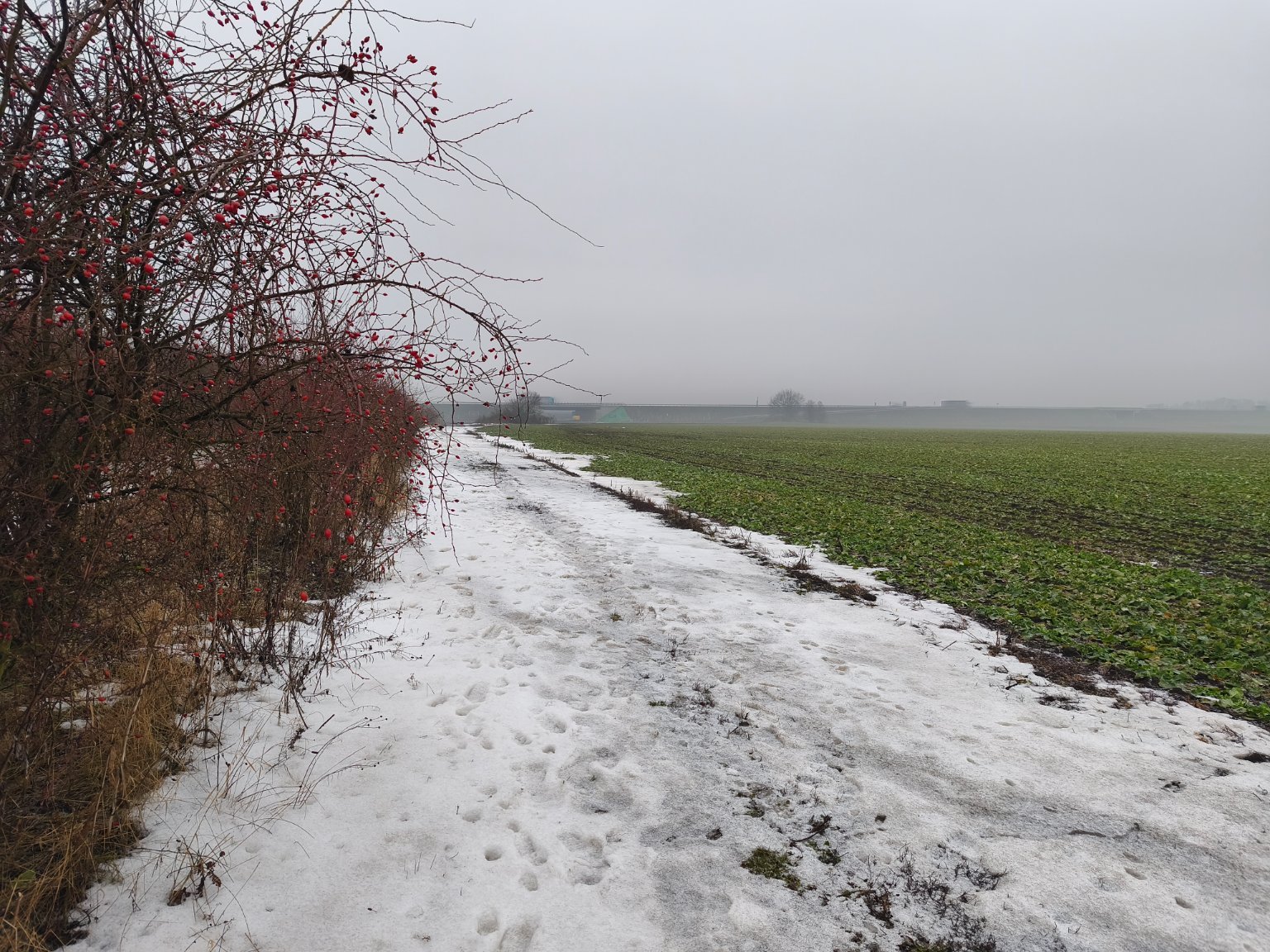 Olomouc, Šibeník