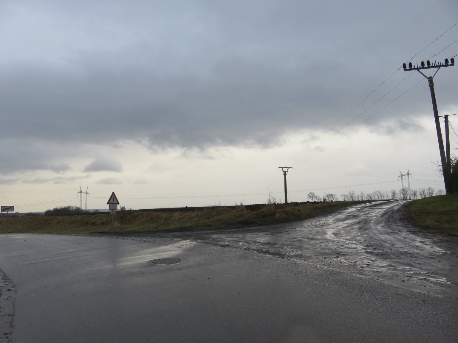 Třibřichy